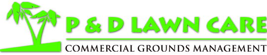 P & D LAWN CARE, LLC.