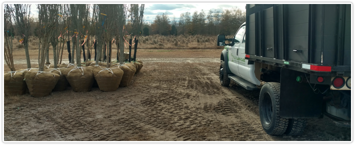 Commercial Landscaping Commercial Landscaping